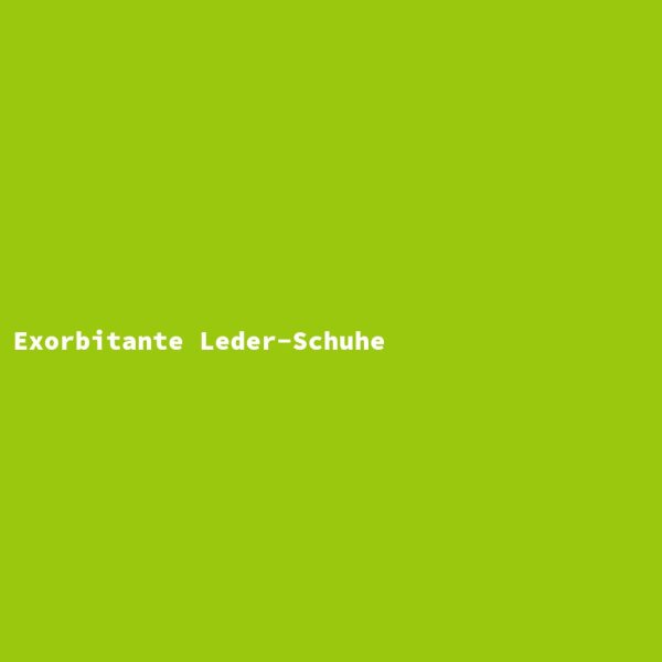 Exorbitante Leder-Schuhe