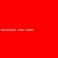 Exorbitante Leder-Schuhe