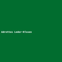 Adrettes Leder-Kissen