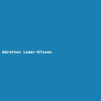Adrettes Leder-Kissen