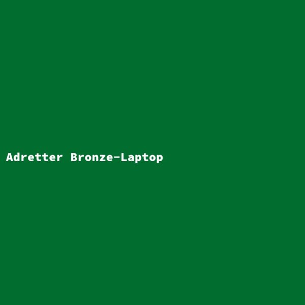 Neat Bronze Laptop